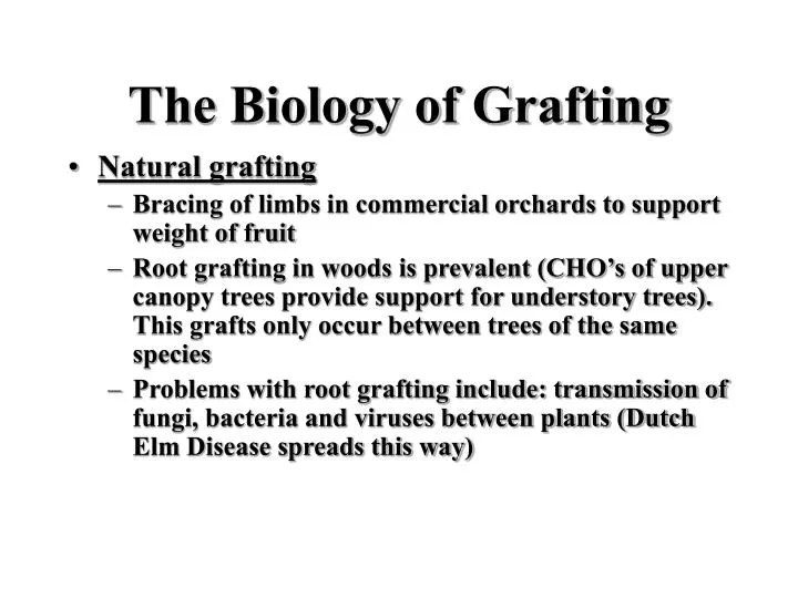the biology of grafting