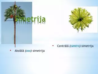 simetrija