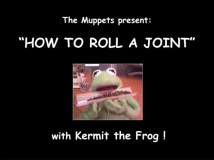 the muppets present how to roll a joint