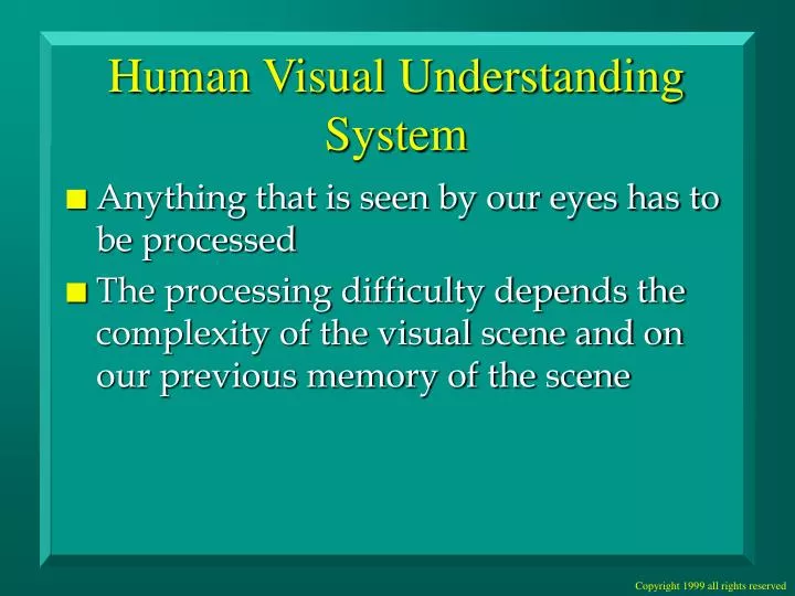 human visual understanding system