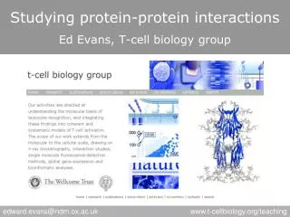 Studying protein-protein interactions Ed Evans, T-cell biology group