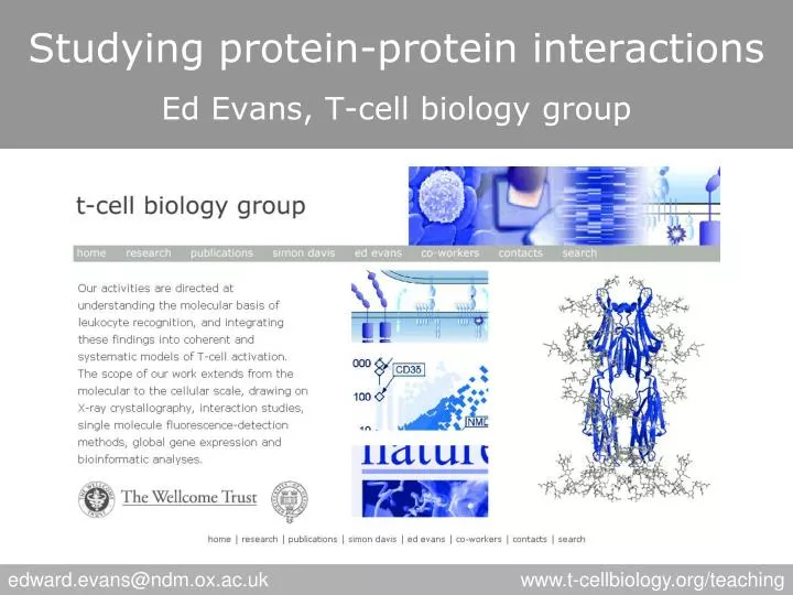 studying protein protein interactions ed evans t cell biology group