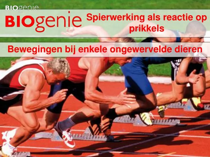 spierwerking als reactie op prikkels