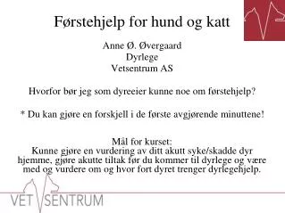 f rstehjelp for hund og katt