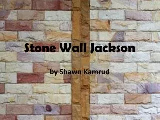 Stone Wall Jackson by Shawn Kamrud