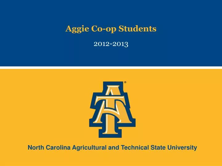 aggie co op students