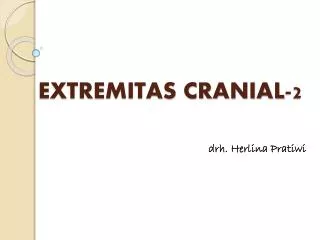 EXTREMITAS CRANIAL -2