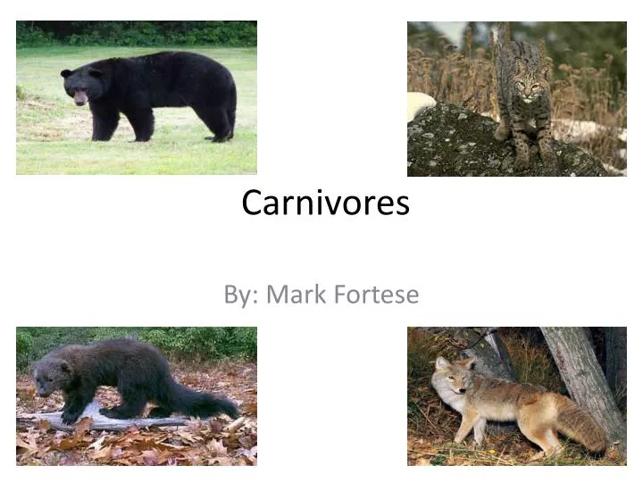 carnivores