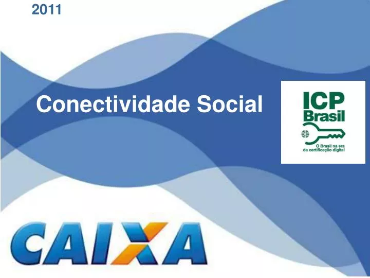 conectividade social