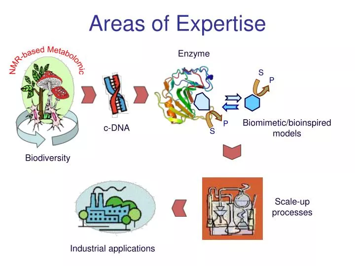 areas of expertise