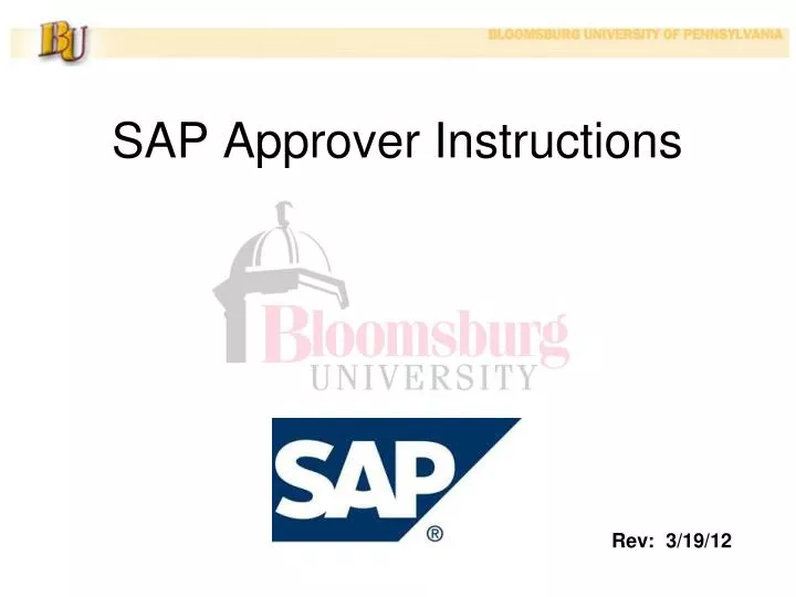 sap approver instructions