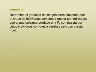 problema 17
