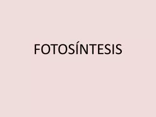 fotos ntesis