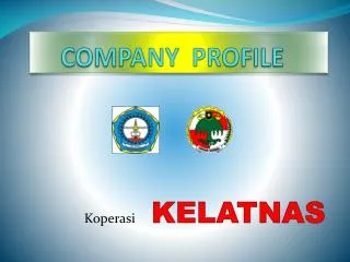 company profile