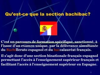 Qu’est-ce que la section bachibac?