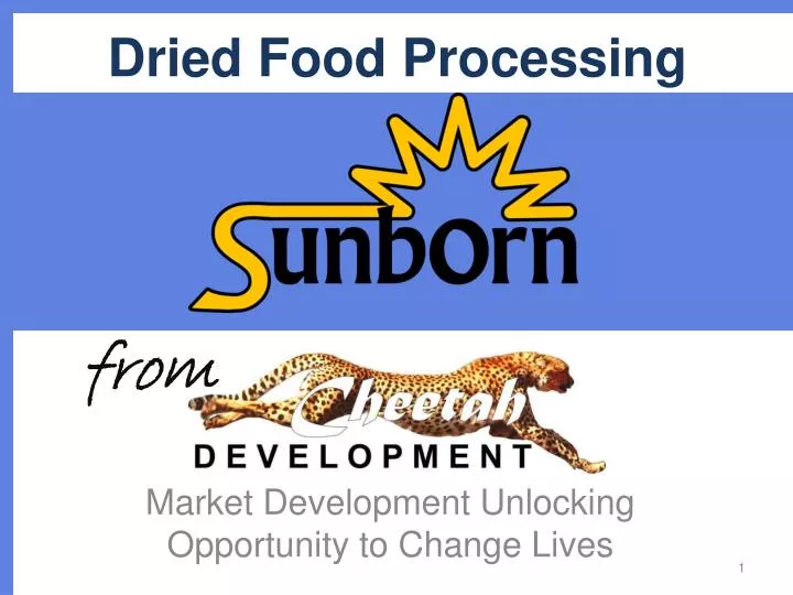 dried food processing