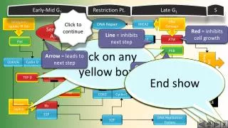 all pathways