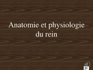anatomie et physiologie du rein