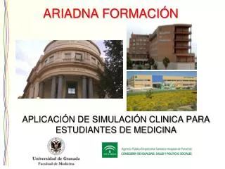ariadna formaci n