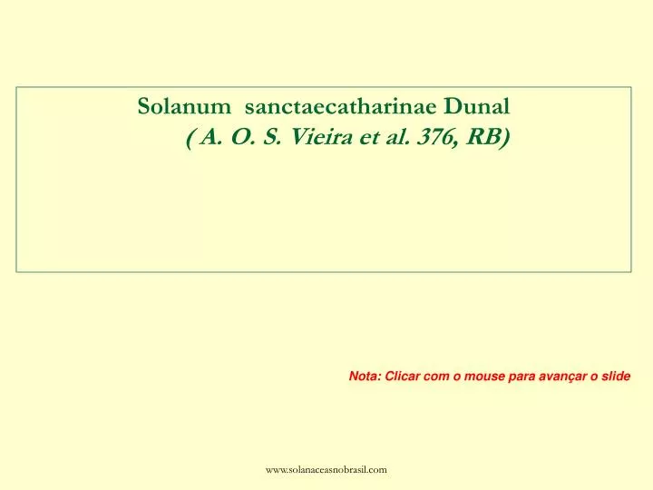 solanum sanctaecatharinae dunal a o s vieira et al 376 rb