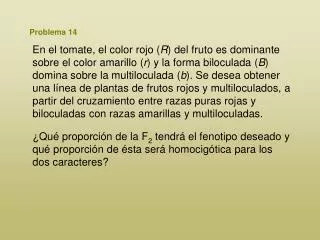 problema 14