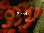 PPT - Blood Spatter Pt 2: Projected Blood PowerPoint Presentation, free ...