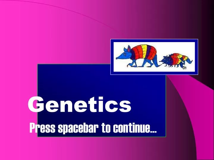 genetics press spacebar to continue