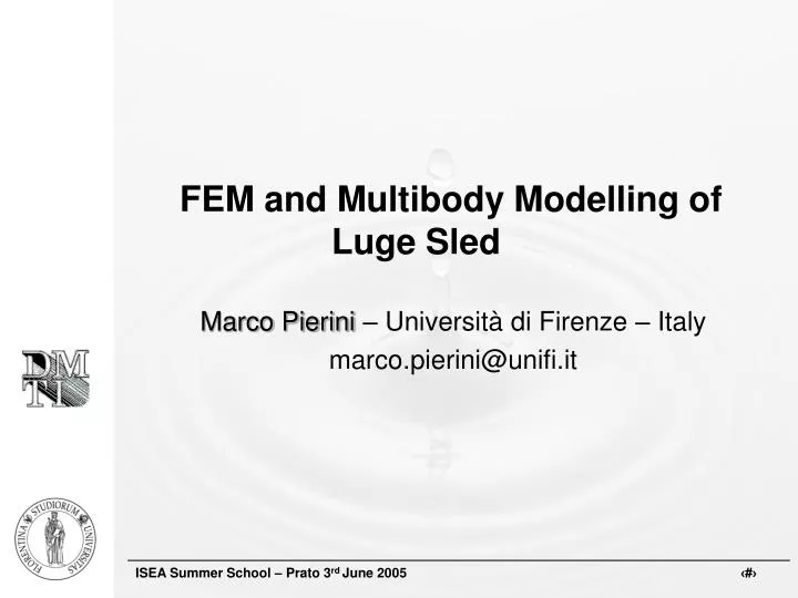 fem and multibody modelling of luge sled