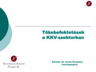 t kebefektet sek a kkv szektorban