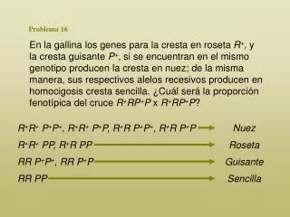 problema 16