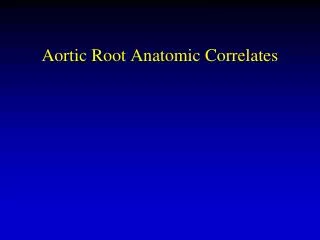 Aortic Root Anatomic Correlates