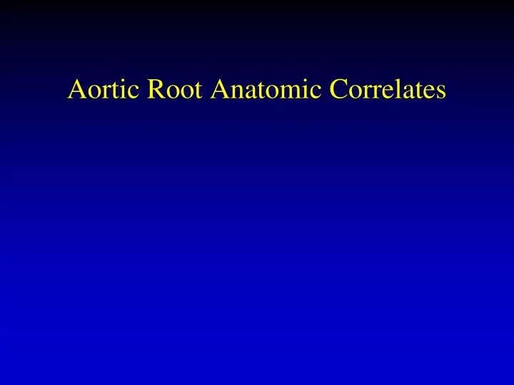 aortic root anatomic correlates