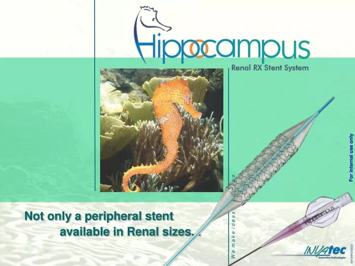 not only a peripheral stent available in renal sizes