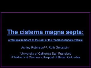 The cisterna magna septa: a vestigial remnant of the roof of the rhombencephalic vesicle