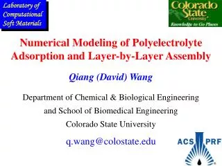 Numerical Modeling of Polyelectrolyte Adsorption and Layer-by-Layer Assembly