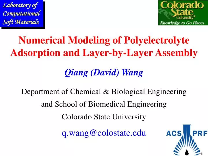 numerical modeling of polyelectrolyte adsorption and layer by layer assembly