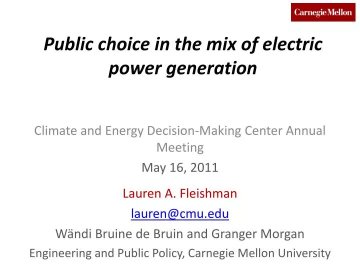 public choice in the mix of electric power generation