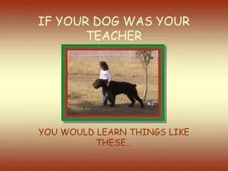 IF YOUR DOG WAS YOUR TEACHER