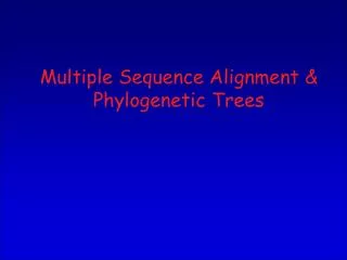 Multiple Sequence Alignment &amp; Phylogenetic Trees