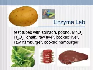 Enzyme Lab