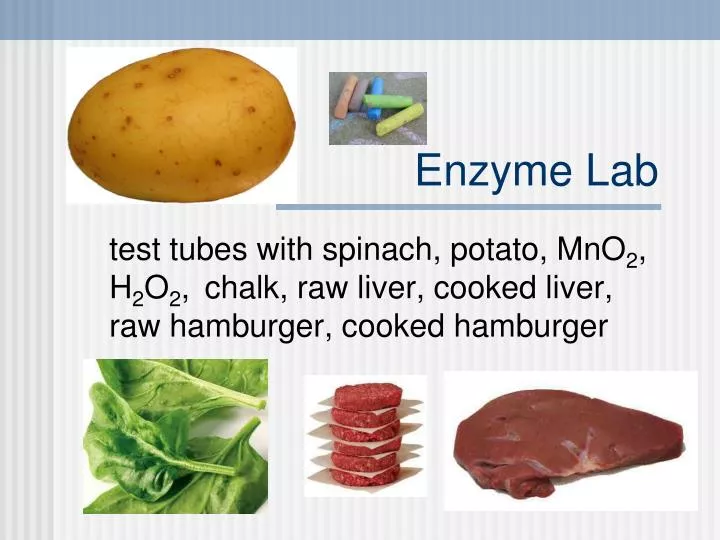 enzyme lab