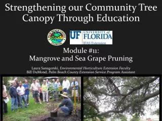 Strengthening our Community Tree Canopy Through Education Module #11: