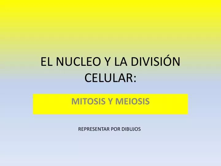 el nucleo y la divisi n celular
