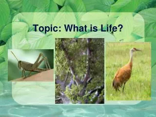 Topic: What is Life?