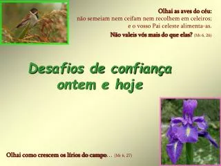 desafios de confian a ontem e hoje