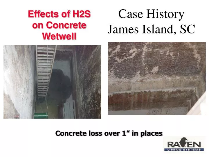 case history james island sc
