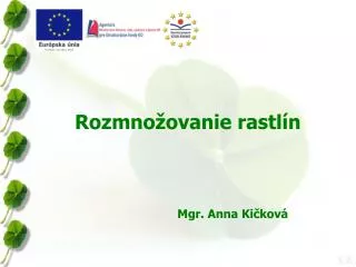 rozmno ovanie rastl n