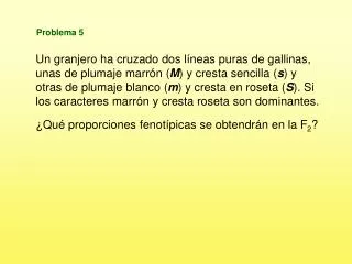 problema 5