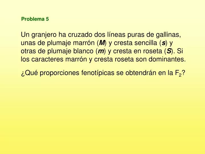 problema 5