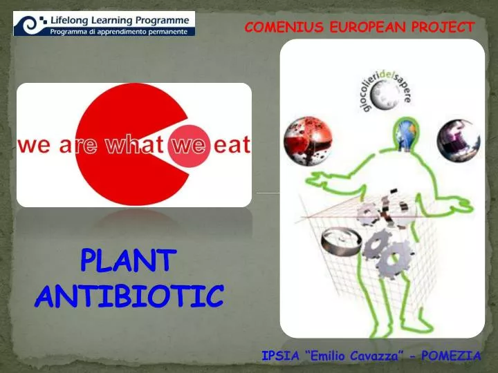 plant antibiotic